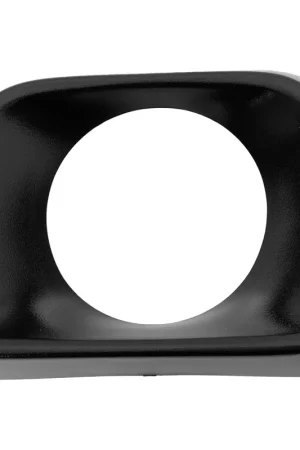 bumper insert 2011 - 2023 CHRYSLER 300 CH1037130 68238710AA - REGULAR Deal