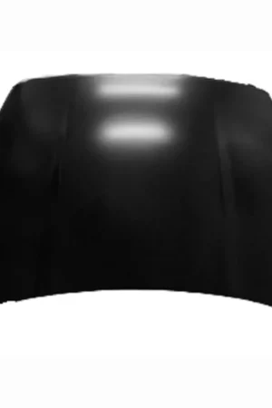 Hood panel assy 2005 - 2009 DODGE RAM 1500 CAPA CH1230221PP 55275733AF - CAPA Buy Online