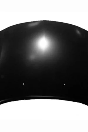 Holiday Sale Hood panel assy 2006 - 2010 DODGE CHARGER CH1230243V 4575725AC - REGULAR