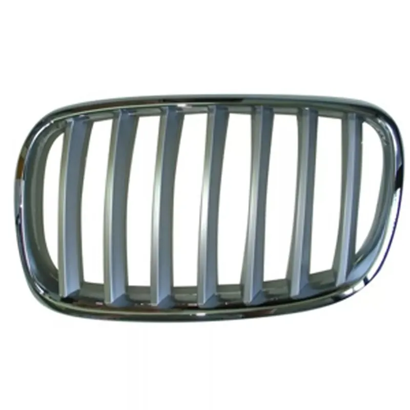 Get Yours Grille assy 2007 - 2013 BMW X5 BM1200182 51137185223 - REGULAR