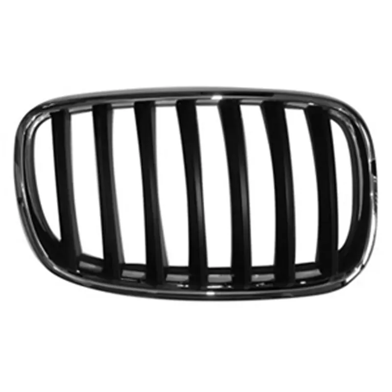 Grille assy 2007 - 2010 BMW X5 BM1200181 51137157688 - REGULAR Modern