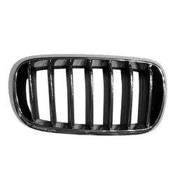 Popular Grille assy 2014 - 2018 BMW X5 BM1200269 51137316062 - REGULAR