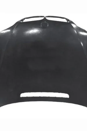 Hood panel assy 2002 - 2005 BMW 325i CAPA BM1230115C 41617042893 - CAPA Mega Sale