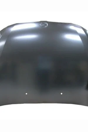 Hood panel assy 2004 - 2007 BMW 525i CAPA BM1230116PP 41617111385 - CAPA Fast Shipping