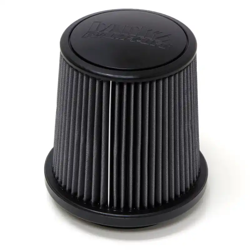 Mega Sale Banks Power 14-15 Chevy/GMC Diesel/Gas Ram Air System Air Filter Element - Dry