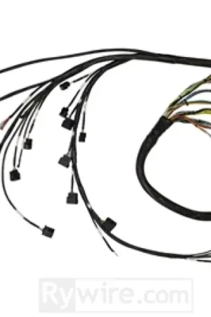 Rywire 02-04 K-Series RWD Mil-Spec Eng Harn w/02-04 Wiring/K-Pro/S2K Tran/K-Ser TB/Int (Adapter Req) Fresh Stock