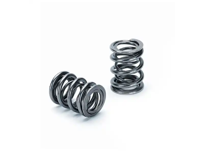 Supertech Honda K20/K24/F20C1/F22C1 Dual Valve Spring - Set of 16 Markdown