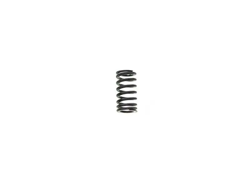 Genuine VW/Audi 06E109623H Valve Spring - Audi, VW Limited Time