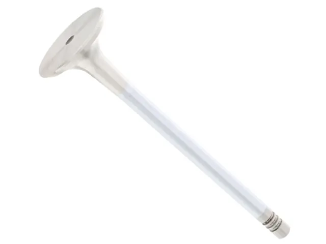 Express Delivery Mahle 06D109611L, 2114629 Exhaust Valve - Audi, VW