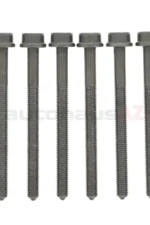 Elring Klinger WHT005305B, 323300 Cylinder Head Bolt Set - Audi, VW Express Delivery