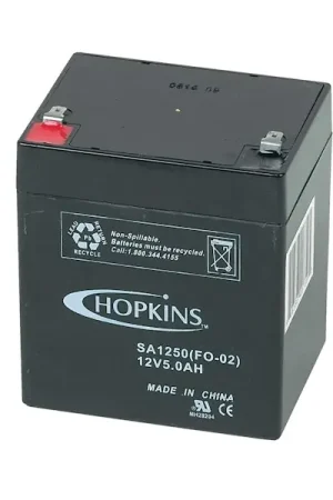 Express Delivery Hopkins Towing 20008 12-Volt Battery